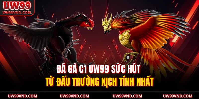 Đá Gà C1 UW99 Sức Hút Từ Đấu Trường Kịch Tính Nhất 1 Đá Gà C1 UW99