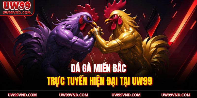 Đá gà miền Bắc trực tuyến hiện đại tại UW99