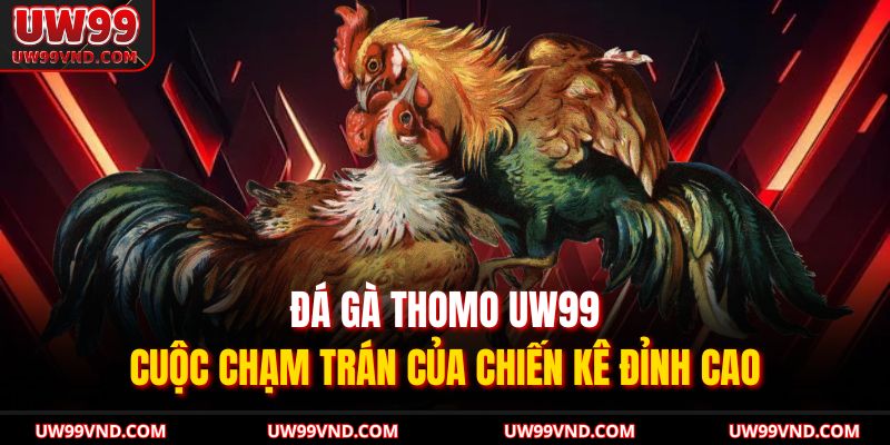 Đá Gà Thomo UW99