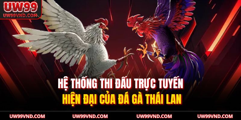 Đá Gà Thái Lan UW99 Kịch Tính Bùng Nổ Kỹ Thuật Hiện Đại 4 Hệ thống thi đấu trực tuyến hiện đại của đá gà Thái Lan