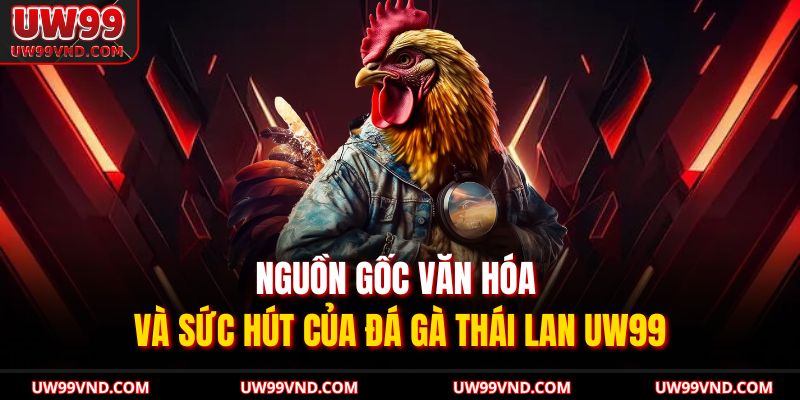 Đá Gà Thái Lan UW99 Kịch Tính Bùng Nổ Kỹ Thuật Hiện Đại 2 Nguồn gốc văn hóa và sức hút của Đá Gà Thái Lan UW99