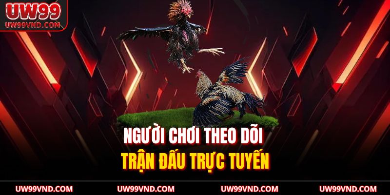 Người chơi theo dõi trận đấu trực tuyến