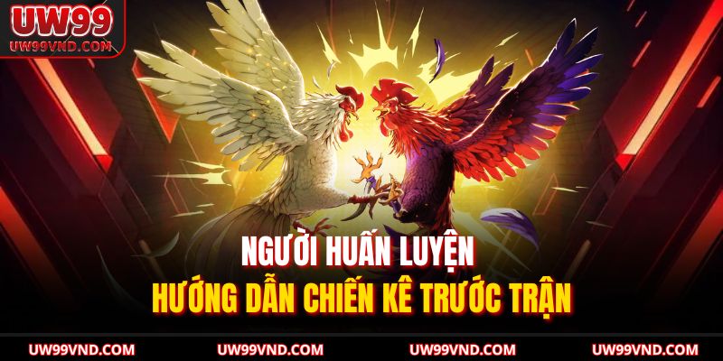 Đá Gà Ăn 5 So Tài Và Chiến Thuật Của Chiến Kê Bất Bại 3 Người huấn luyện hướng dẫn chiến kê trước trận