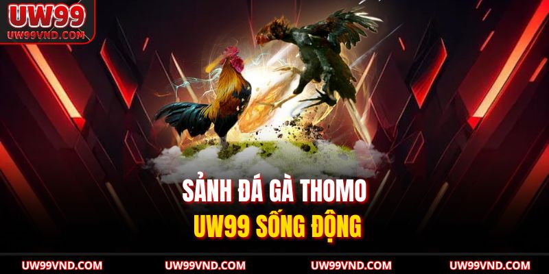 Sảnh đá gà Thomo UW99 sống động