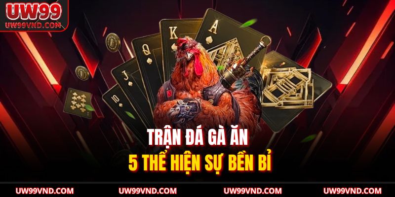 Đá Gà Ăn 5 So Tài Và Chiến Thuật Của Chiến Kê Bất Bại 2 Trận đá gà ăn 5 thể hiện sự bền bỉ