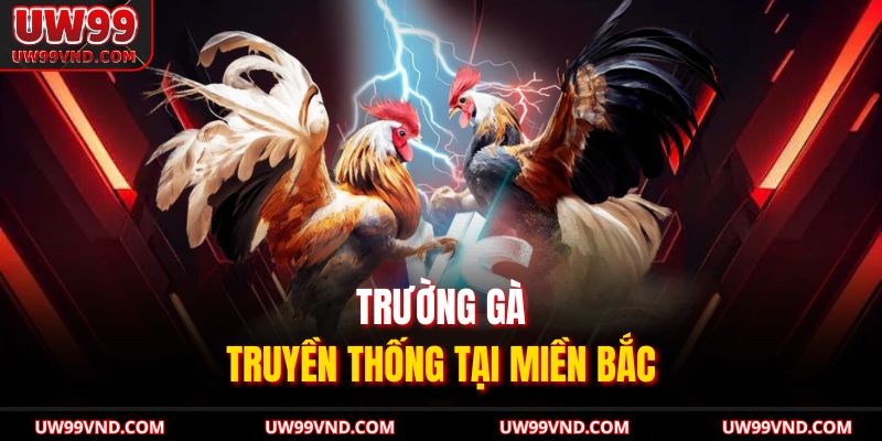 Trường gà truyền thống tại miền Bắc
