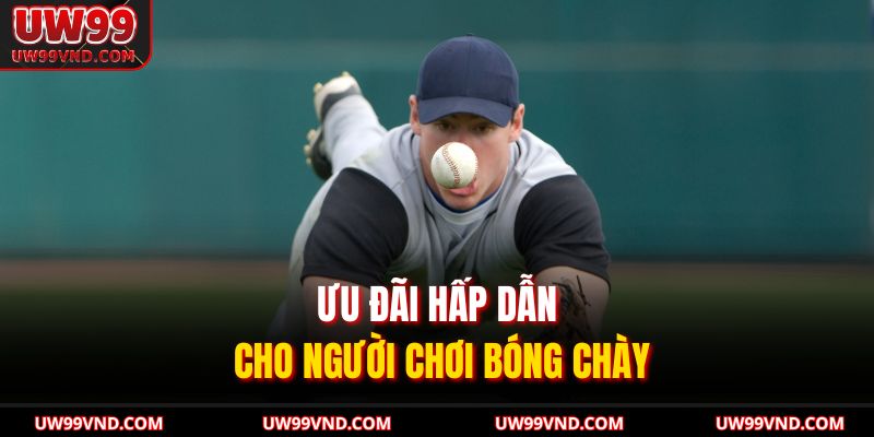 Ưu đãi hấp dẫn cho người chơi bóng chày